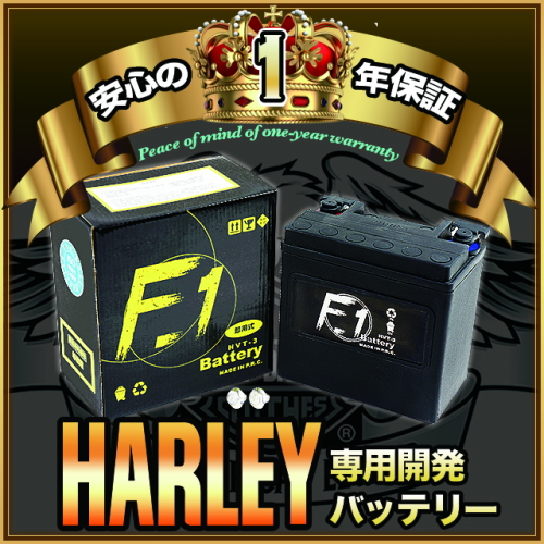 バイク用品・キャンプ 用品 正規品販売のアイネット / 1年保証 F1 HVT ...